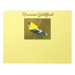 American Goldfinch - Originalfotografie Notizblock