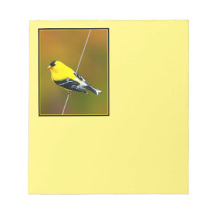 American Goldfinch - Originalfotografie Notizblock