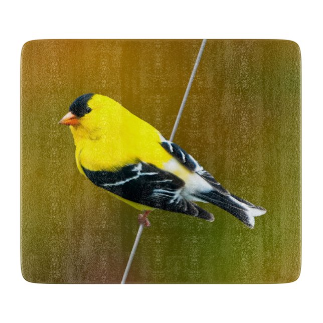 American Goldfinch - Originalfotografie Schneidebrett (Vorderseite)