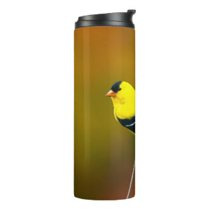 American Goldfinch - Originalfotografie Thermosbecher