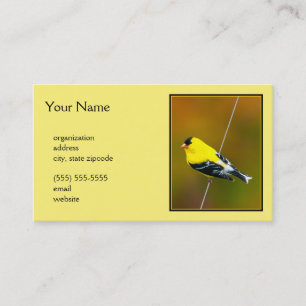American Goldfinch - Originalfotografie Visitenkarte