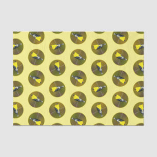 American Goldfinch Songbird Original Fotograf Seidenpapier