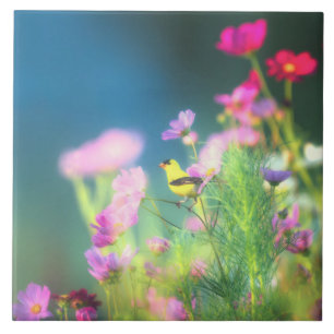 American Goldfinch und Coreopsis  Fliese