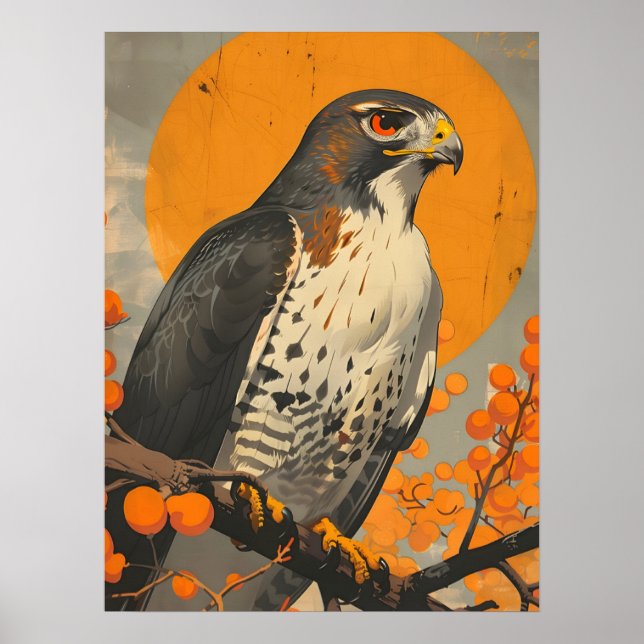 American Goshawk Poster (Vorne)