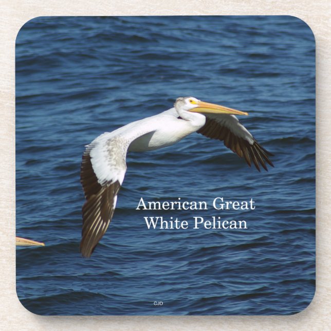 American Great White Pelican 6 Plastic Untersetzer (Vorderseite)