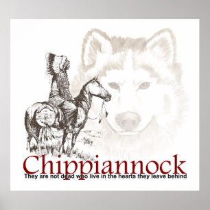 American Indian Poster They are not dead