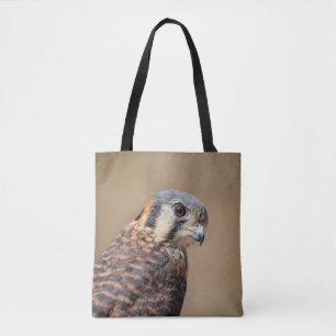 American Kestrel