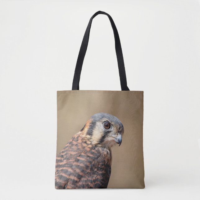 American Kestrel (Vorderseite)