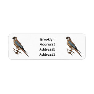 American kestrel bird cartoon illustration