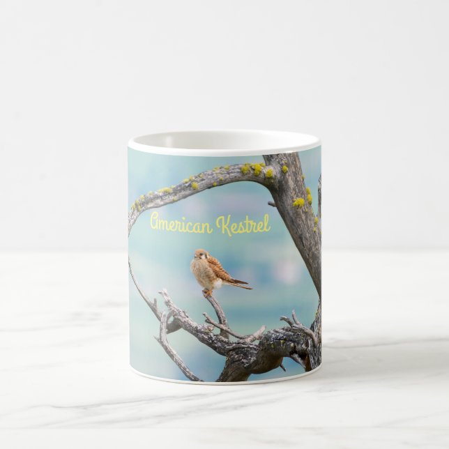 American Kestrel Kaffeetasse (Mittel)