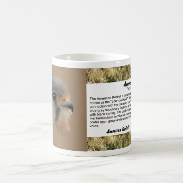 American Kestrel Kaffeetasse (Mittel)