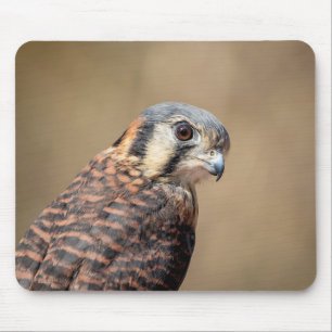 American Kestrel Mousepad