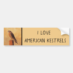 American Kestrel Painting - Original Bird Art Autoaufkleber