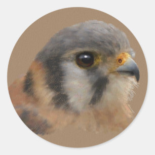 American Kestrel Portrait Runder Aufkleber
