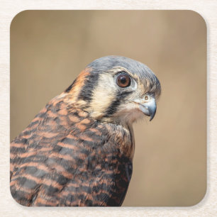 American Kestrel Rechteckiger Pappuntersetzer