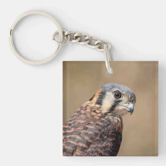 American Kestrel Schlüsselanhänger (Vorderseite)