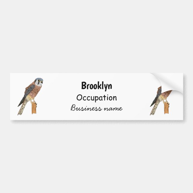 American Kestrel Vogelillustrierung  Autoaufkleber (Vorne)