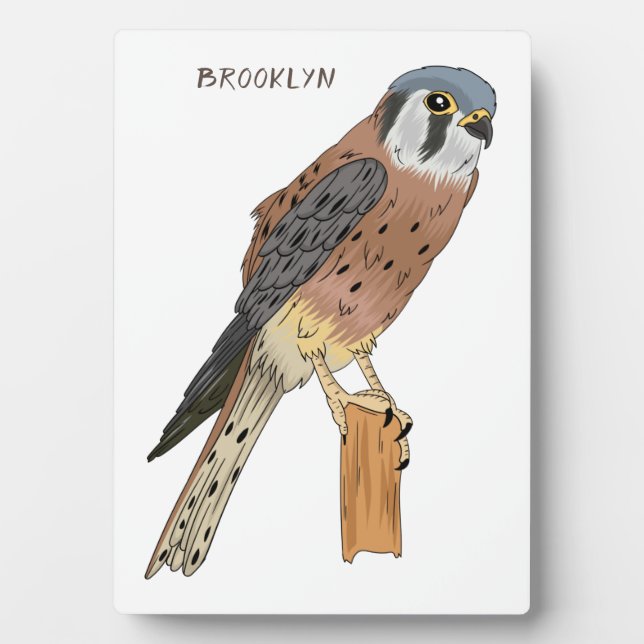 American Kestrel Vogelillustrierung Fotoplatte (Vorderseite)
