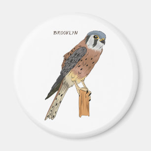 American Kestrel Vogelillustrierung  Magnet