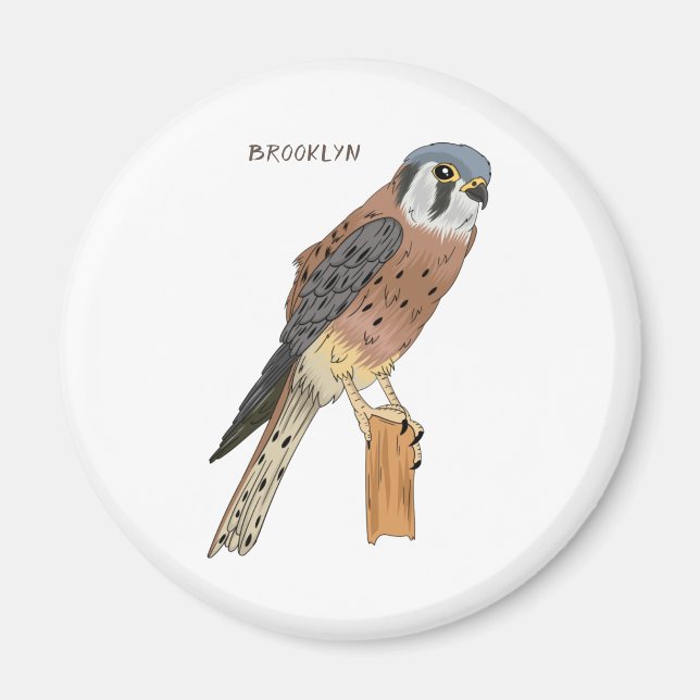 American Kestrel Vogelillustrierung Magnet (Vorne)