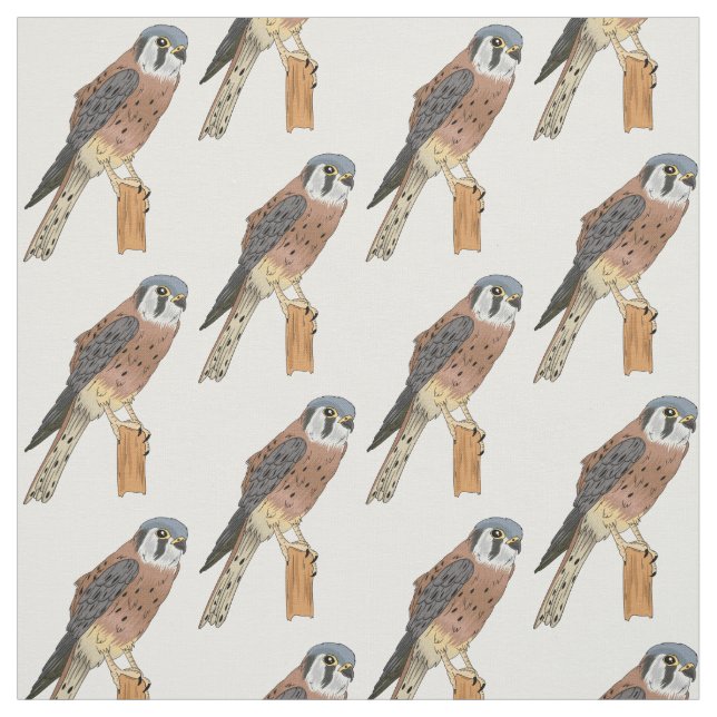 American Kestrel Vogelillustrierung Stoff (Muster)