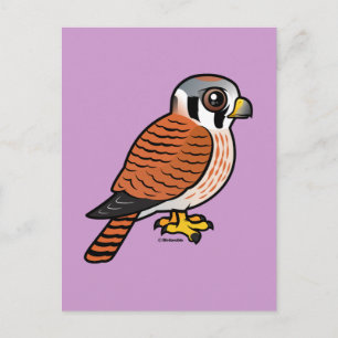 American Kestrel Weibchen Postkarte