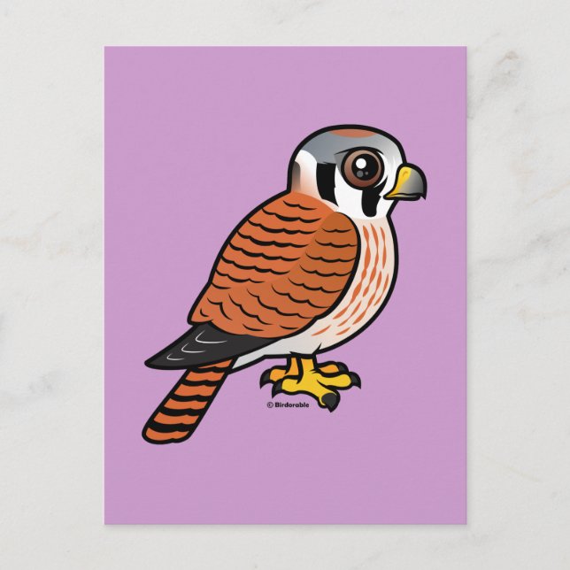 American Kestrel Weibchen Postkarte (Vorderseite)