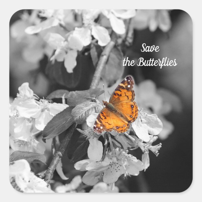 American Lady Butterfly On Apple Blossom Stickers (Vorderseite)