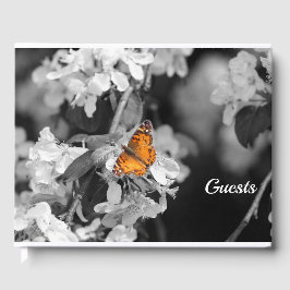 American Lady Butterfly On Blossom Gästebuch