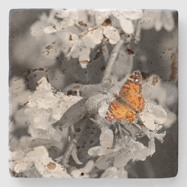American Lady Butterfly On Blossom Stone Untersetz Steinuntersetzer (Vorderseite)