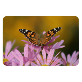 American Lady Butterfly Perennial Clara Curtis 4x6 Magnet