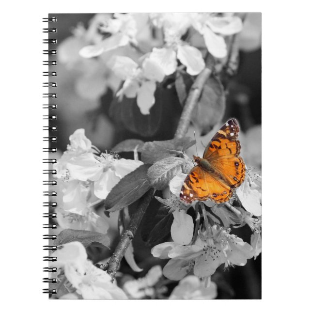American Lady Butterfly Spiral Notebook Notizblock (Vorderseite)