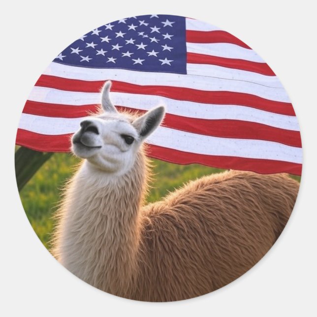American Lama Sticker (Vorderseite)