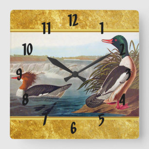 American mallard ducks in a lake swimming quadratische wanduhr