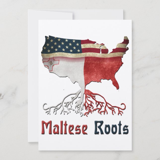 American Maltese Roots (Vorderseite)
