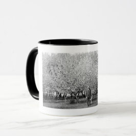 American Man in Orchard Real Foto Kaffee Tasse