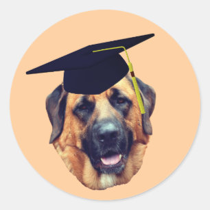 American Mastiff Dog Graduation Cap Runder Aufkleber