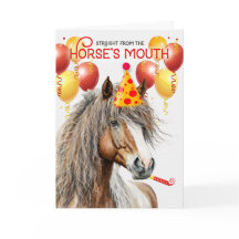 American Miniature Horse Kastanien Feiertag