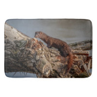 American Mink