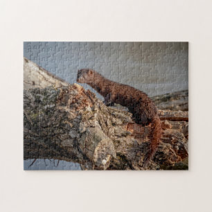 American Mink Puzzle