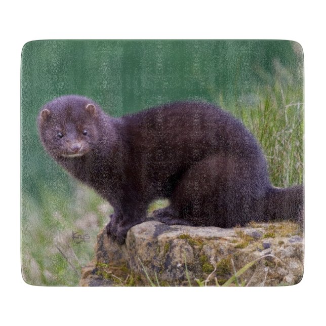 American Mink Recangle Cutting Board Schneidebrett (Vorderseite)