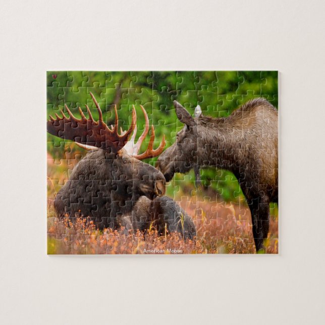 American Moose Puzzle (Horizontal)