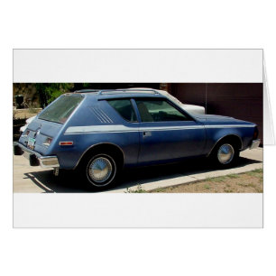 AMERICAN MOTORS-SPEER UND GRAMLIN UND KAKTEEN