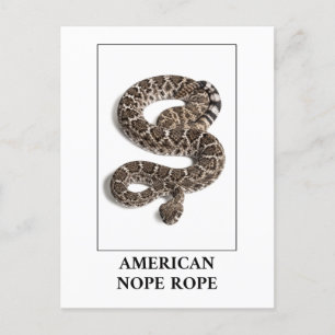 American Nope Rope - Rattlesnake Snake Danger Postkarte