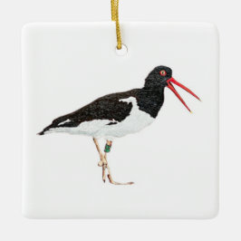 American Oystercatcher Keramikornament