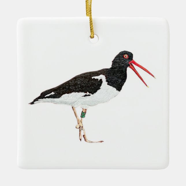 American Oystercatcher Keramikornament (Vorderseite)