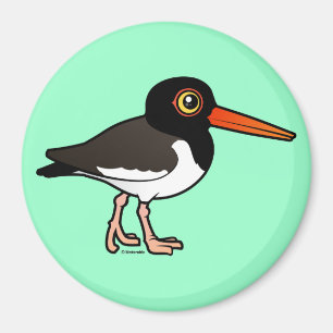 American Oystercatcher Magnet