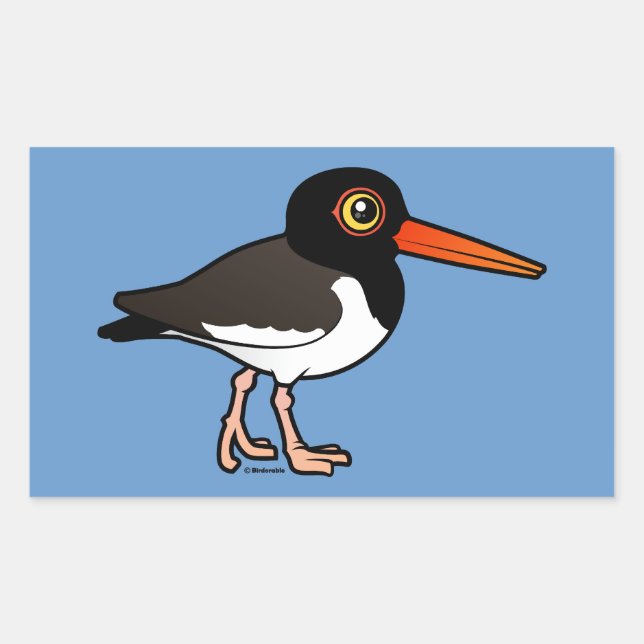 American Oystercatcher Rechteckiger Aufkleber (Vorderseite)
