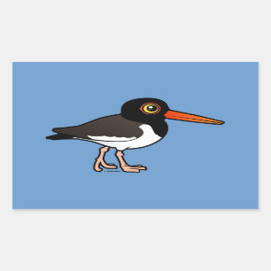 American Oystercatcher Rechteckiger Aufkleber