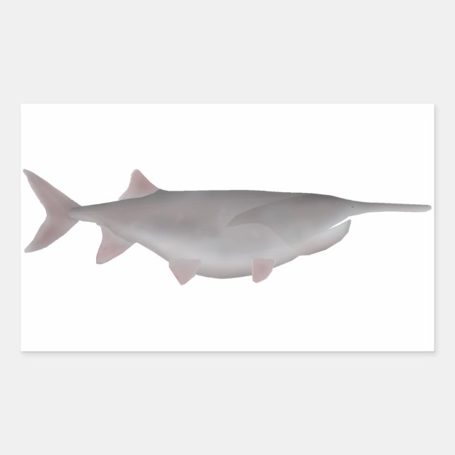 American Paddlefish Rechteckiger Aufkleber (Vorderseite)
